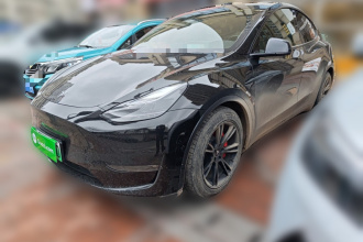 特斯拉 Model Y 2021款 标准续航后驱版