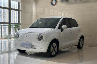 欧拉黑猫 2022款 301km 基础型 三元锂