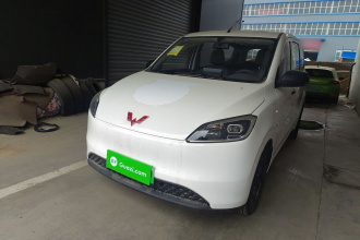 五菱汽车 五菱宏光新能源 2024款 纯电版 300KM 标准型