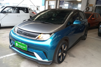 比亚迪 海豚 2021款 401km 骑士版