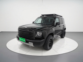 哈弗猛龙新能源 2024款 Hi4 145 穿越版