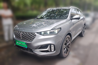魏牌 VV6 2021款 2.0T 两驱智享+