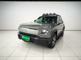 深蓝汽车 深蓝G318 2024款 四驱空悬版