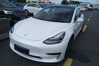 特斯拉 Model 3(进口) 2019款 标准续航后驱升级版