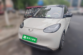 五菱汽车 五菱缤果 2024款 333km 悦享款