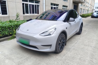 特斯拉 Model Y 2024款 后轮驱动版