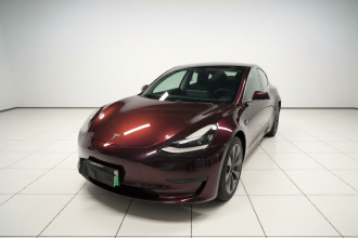特斯拉 Model 3 2020款 改款 标准续航后驱升级版