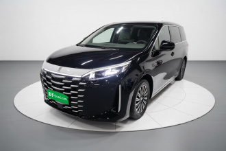 比亚迪 夏 2025款 DM-i 1.5T 100km 领先型