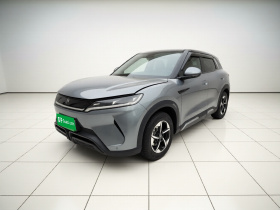 比亚迪 元UP 2024款 401KM 领先型