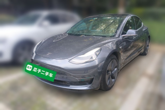 特斯拉 Model 3(进口) 2019款 长续航后驱版