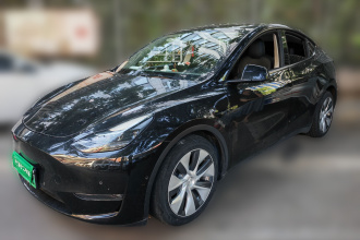 特斯拉 Model Y 2021款 标准续航后驱版