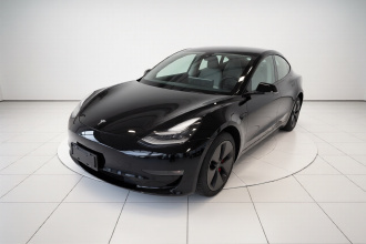特斯拉 Model 3(进口) 2019款 长续航后驱版