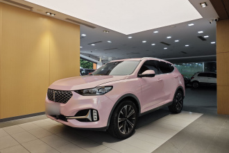 魏牌 VV6 2021款 2.0T 两驱智享+