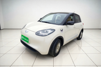 五菱汽车 五菱缤果 2024款 203km 轻享款