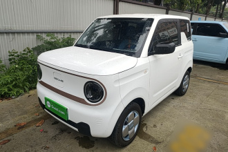 吉利银河 2024款 熊猫mini 200km 龙腾PRO版