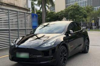 特斯拉 Model Y 2022款 改款 长续航全轮驱动版