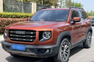 哈弗大狗 2021款 1.5T DCT两驱边牧版