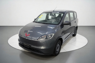 五菱汽车 五菱宏光新能源 2024款 纯电版 300KM 标准型