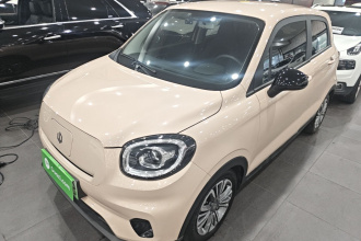 零跑汽车 零跑T03 2021款 400轻享版 磷酸铁锂