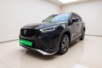 丰田 皇冠陆放 2023款 2.5L HEV两驱进取版（五座）