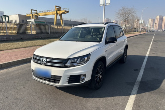 大众 途观 2014款 1.8TSI 自动两驱30周年纪念版