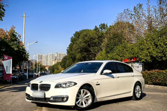 宝马5系 2017款 520Li 典雅型