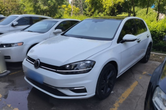 大众 高尔夫 2018款  230TSI 自动豪华型