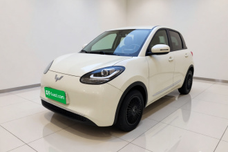 五菱汽车 五菱缤果 2023款 203km 轻享款