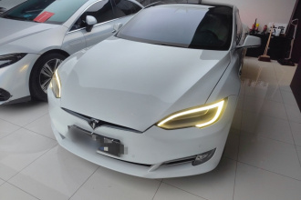 特斯拉 Model S 2019款 长续航版