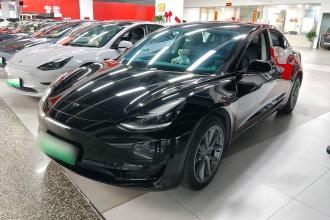 特斯拉 Model 3 2020款 改款 标准续航后驱升级版