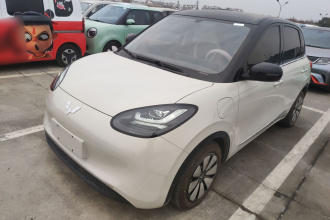 五菱汽车 五菱缤果 2025款 333km 灵犀互联款