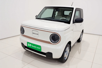 吉利银河 2024款 熊猫mini 200km 耐力熊