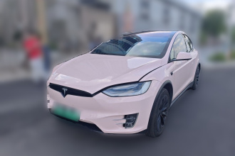 特斯拉 Model X 2020款 Performance 高性能版