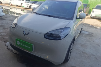 五菱汽车 五菱缤果 2024款 333km 悦享款