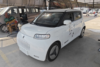 欧拉白猫 2020款 360km 标准型