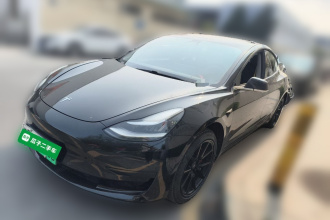 特斯拉 Model 3 2019款 标准续航后驱升级版