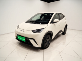 比亚迪 海鸥 2025款 305km 活力版