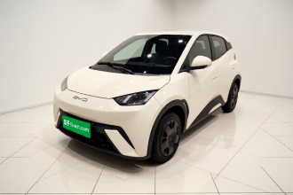 比亚迪 海鸥 2025款 305km 活力版