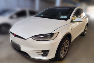 特斯拉 Model X 2019款 长续航版