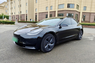 特斯拉 Model 3 2020款 标准续航后驱升级版