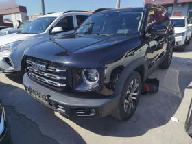 哈弗大狗 2021款 1.5T DCT两驱边牧版