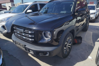 哈弗大狗 2021款 1.5T DCT两驱边牧版