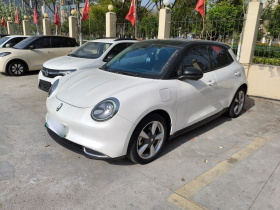 欧拉好猫 2021款 400km标准续航 维纳斯版 磷酸铁锂