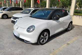 欧拉好猫 2021款 400km标准续航 维纳斯版 磷酸铁锂