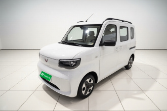 五菱汽车 五菱之光新能源 2025款 305km 进取型