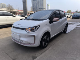 江淮钇为 钇为花仙子 2024款 挚爱版 301km Lite