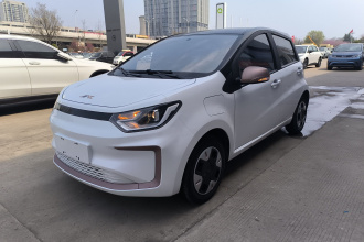 江淮钇为 钇为花仙子 2024款 挚爱版 301km Lite