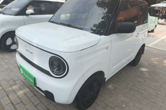 吉利银河 2024款 熊猫mini 200km 耐力熊