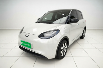 五菱汽车 五菱缤果 2023款 333km 灵犀互联+款