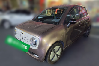 欧拉黑猫 2019款 310km 灵趣版